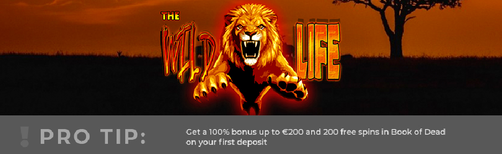 bonus6 Wild Life Slots